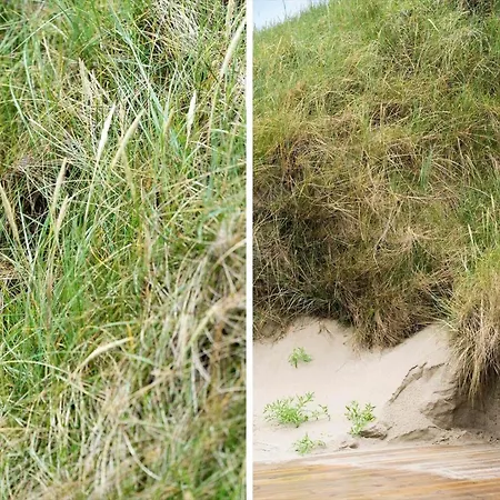 367-harboore-crownvej-20